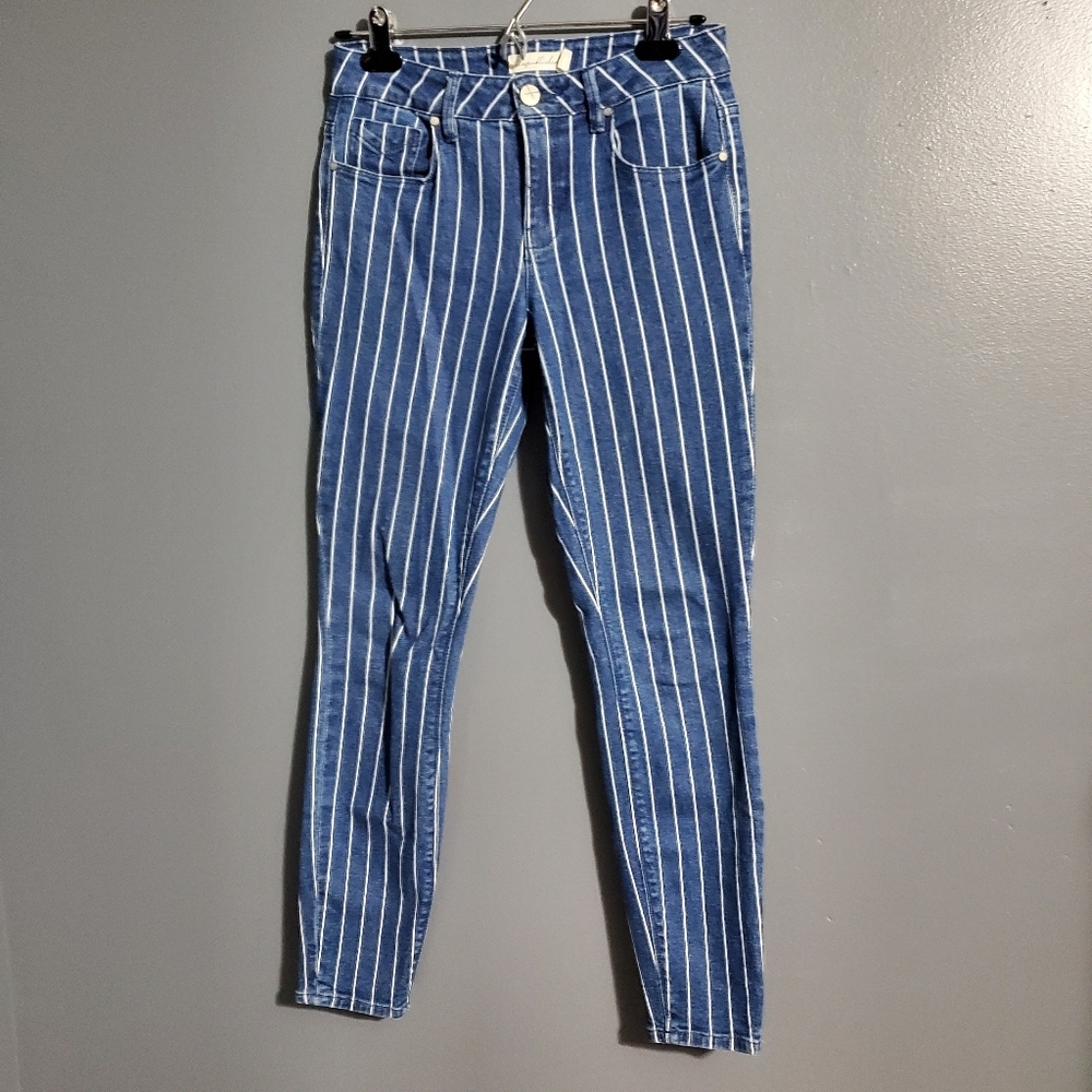 Unpublished Chic Blue Striped Skinny Jeans Size 25